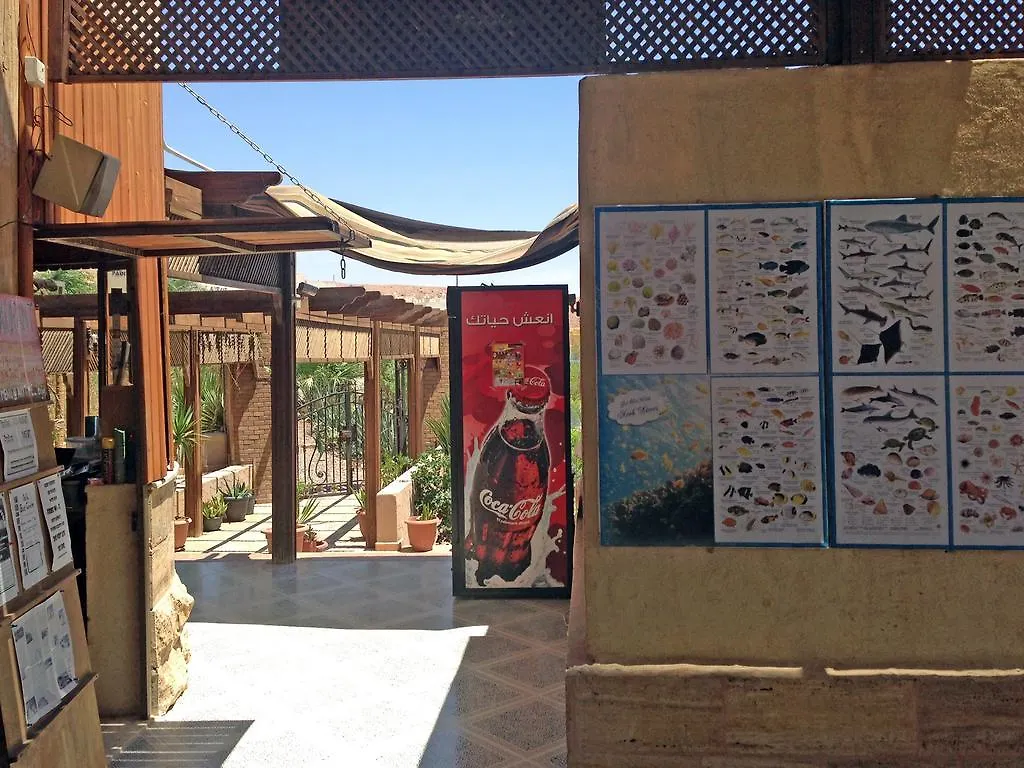 ***  Arab Divers Dive Center And Bed & Breakfast Aqaba Jordanie